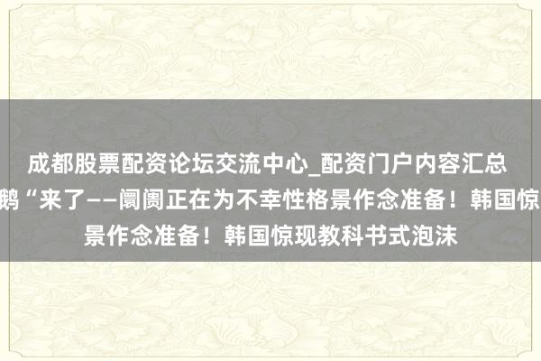 成都股票配资论坛交流中心_配资门户内容汇总 信得过的”黑天鹅“来了——阛阓正在为不幸性格景作念准备！韩国惊现教科书式泡沫